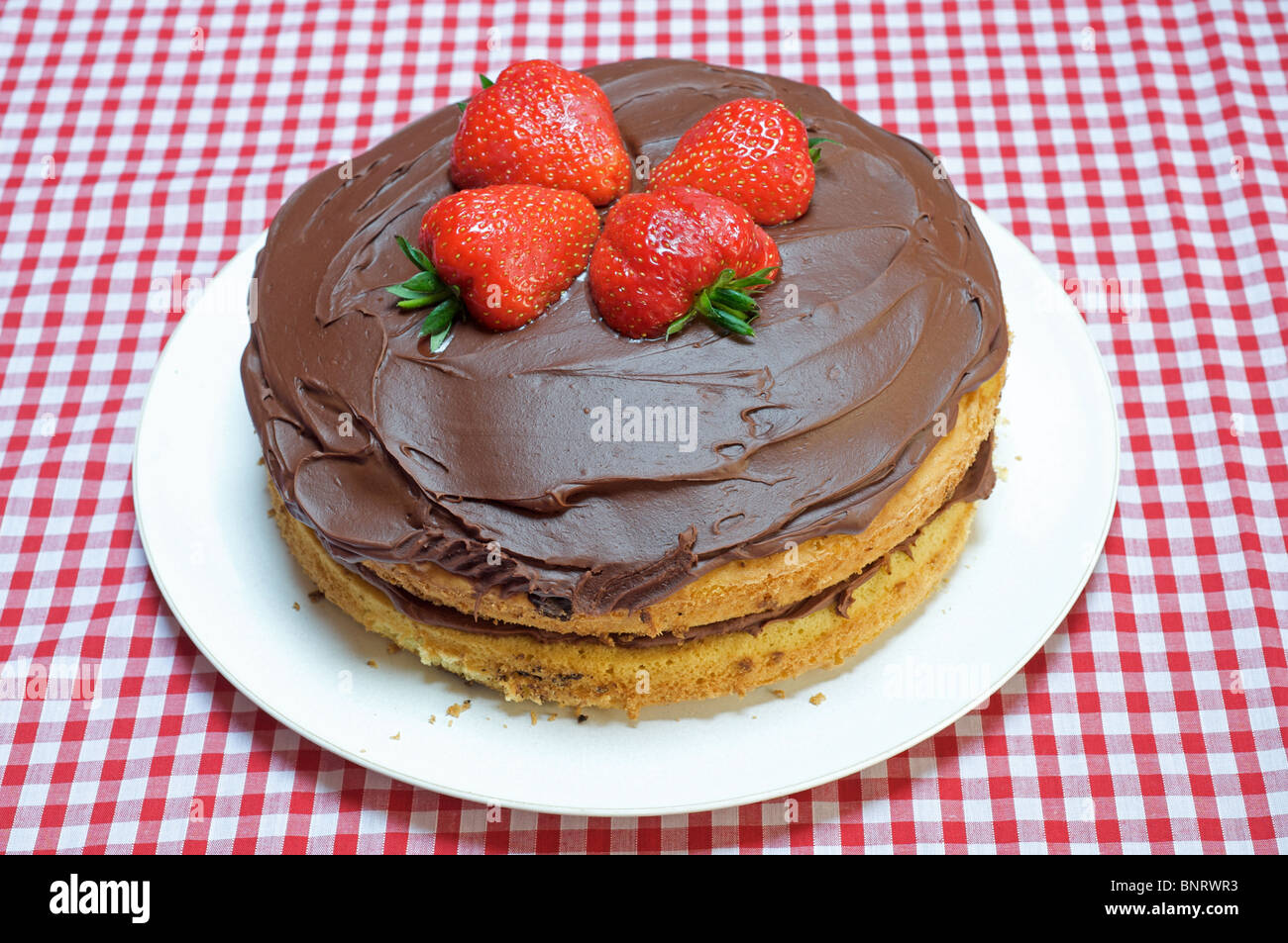 Hausgemachter Schokoladenkuchen Stockfoto