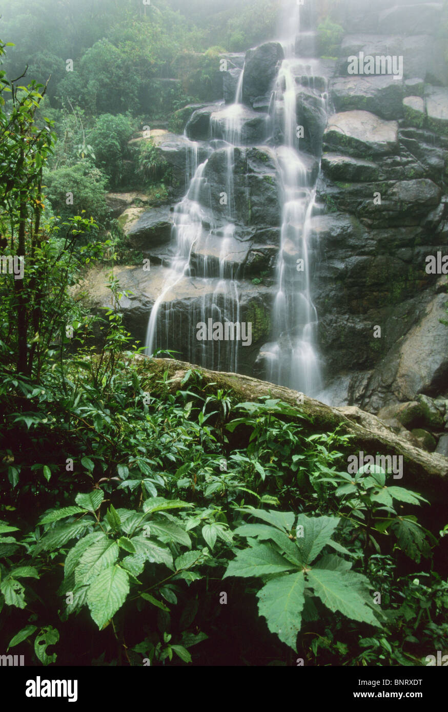 Veu De Noiva Wasserfall Im Itatiaia National Park Rio De Janeiro Immobilien Brasilien Stockfotografie Alamy