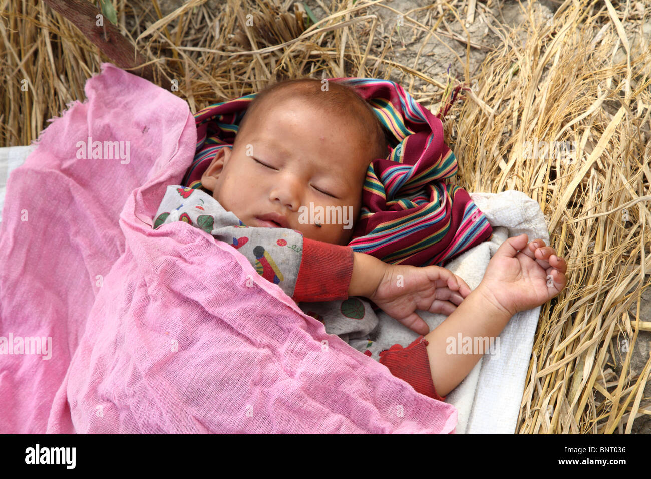 Ein Kind schläft in der Ecke eines Feldes, während die Mutter, in der Nähe von Wangdue, Bhutan arbeitet. Stockfoto