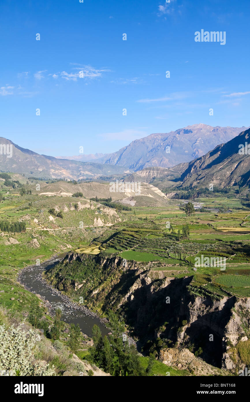 Blick auf den majestätischen Colca Canyon in Peru Stockfoto