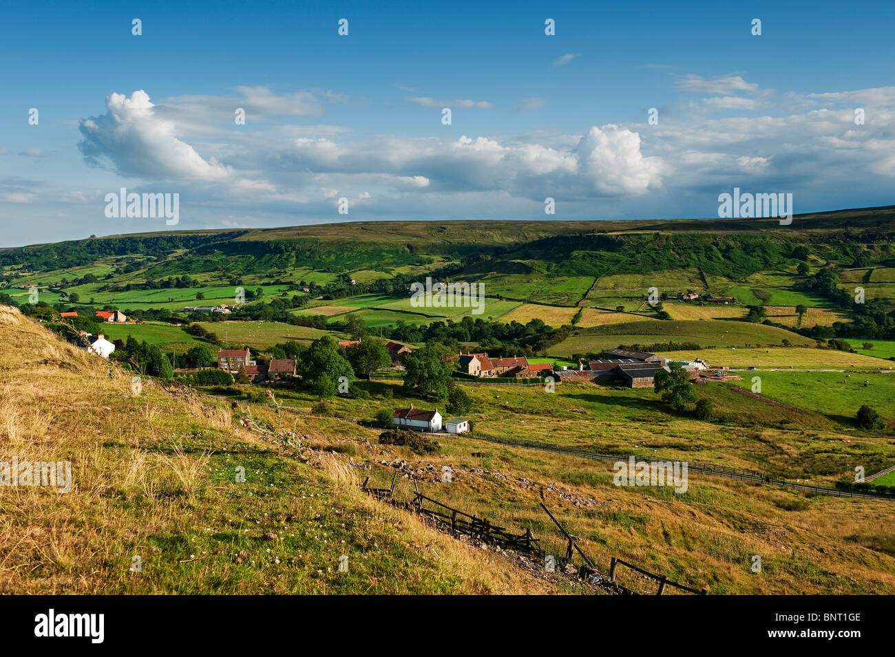 Blick nach Westen über Rosedale in Richtung hohe Haus Hof und das Dorf Thorgill Stockfoto