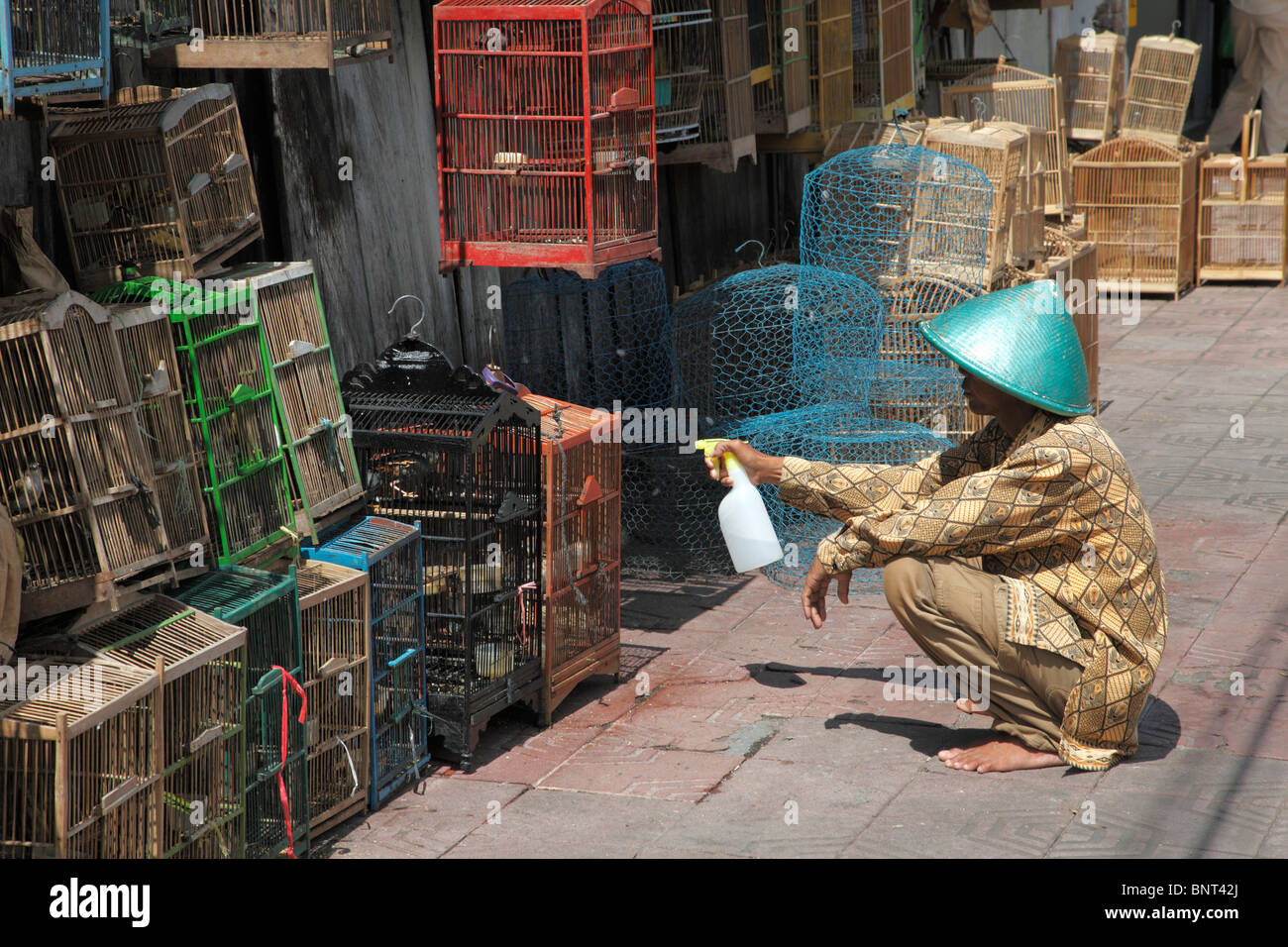 Indonesien; Java; Yogyakarta; Pasar Ngasem, Vogelmarkt, Stockfoto