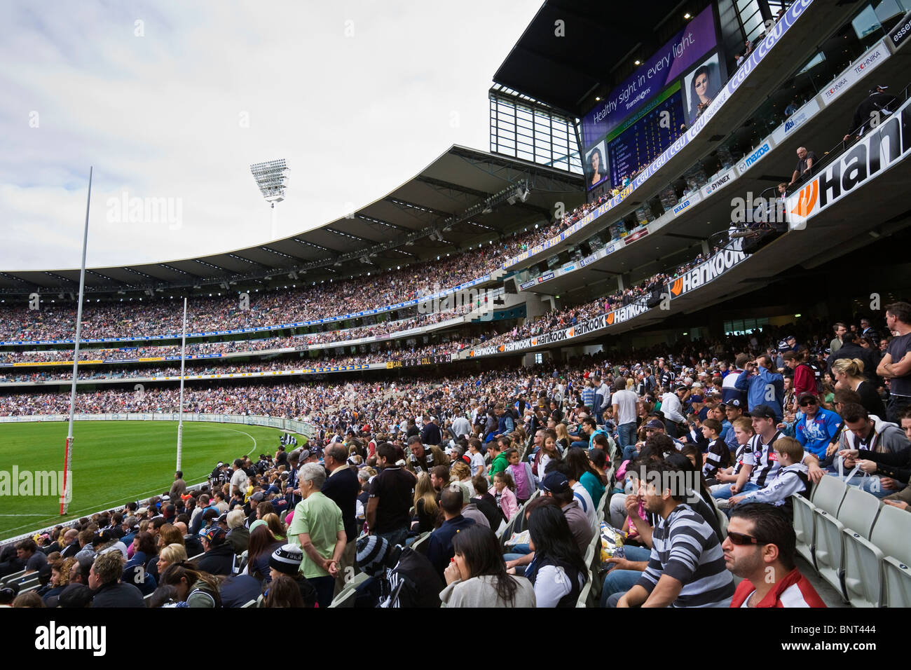 Fans jubeln in ihren Teams bei einem Australian Rules Football-Spiel.  Melbourne, Victoria, Australien. Stockfoto