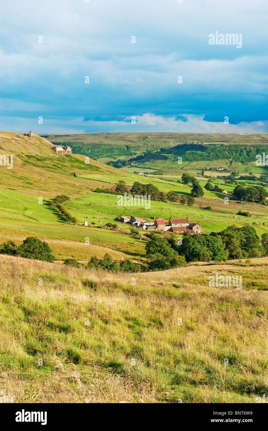 Blick nach Süden hinunter Rosedale in Richtung der Mine Funktionsweise Stockfoto