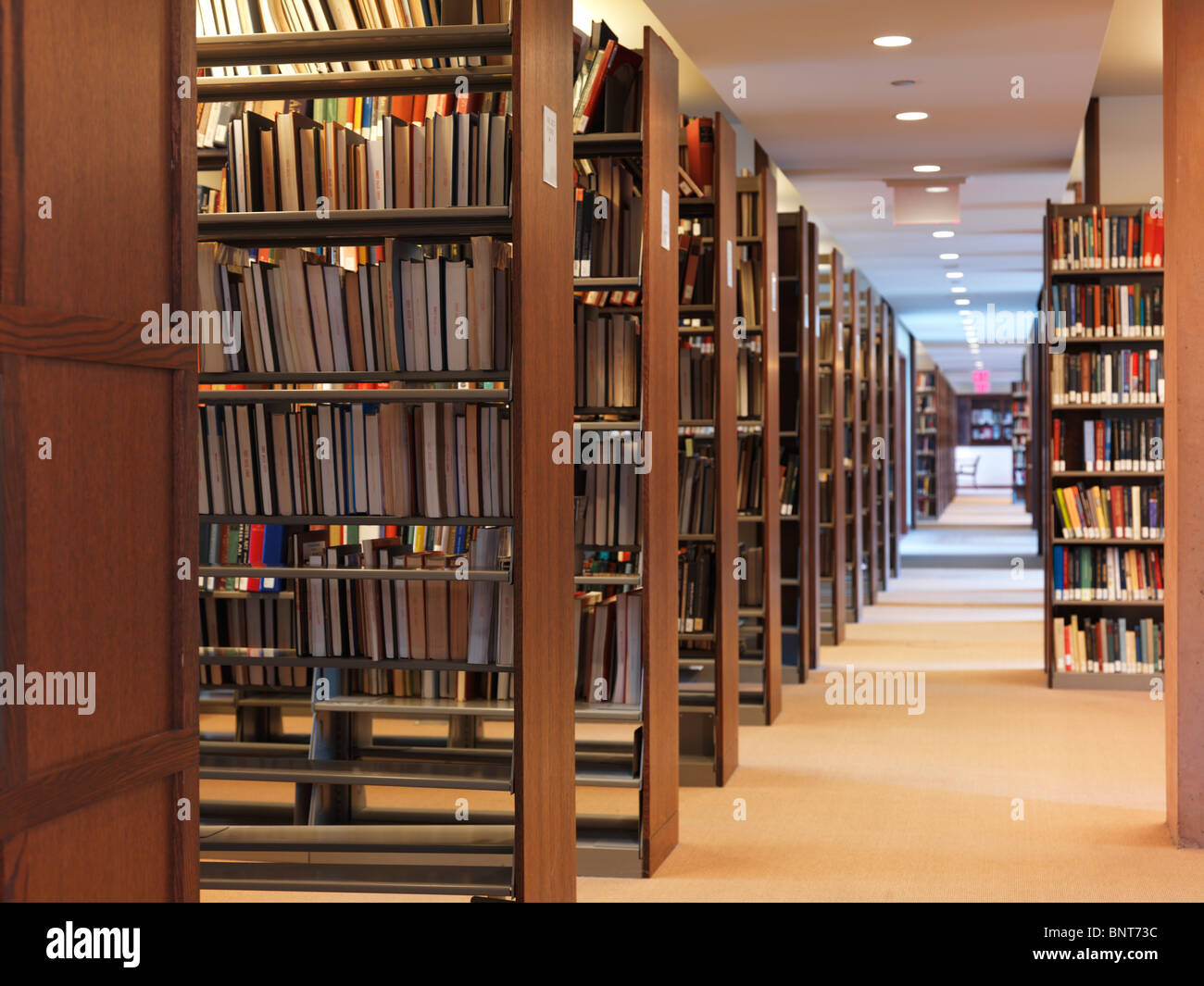 Reihen der Bücherregale in einer Bibliothek Stockfoto