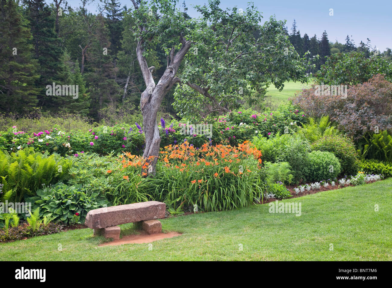 Traditionelle mehrjährige Gärten Green Gables House in Prince Edward Island National Park, Cavendish, PEI Kanada Stockfoto