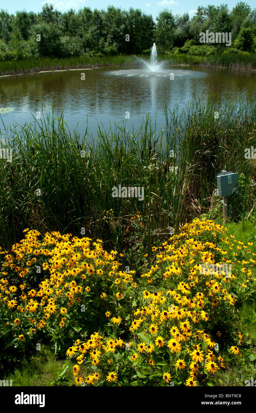 Teich mit Springbrunnen. Stockfoto