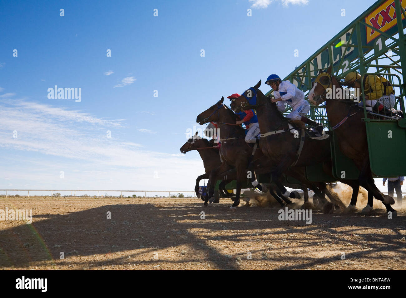 Die Pferde springen aus den starten Barrieren während der Birdsville Cuprennen. Birdsville, Queensland, Australien. Stockfoto