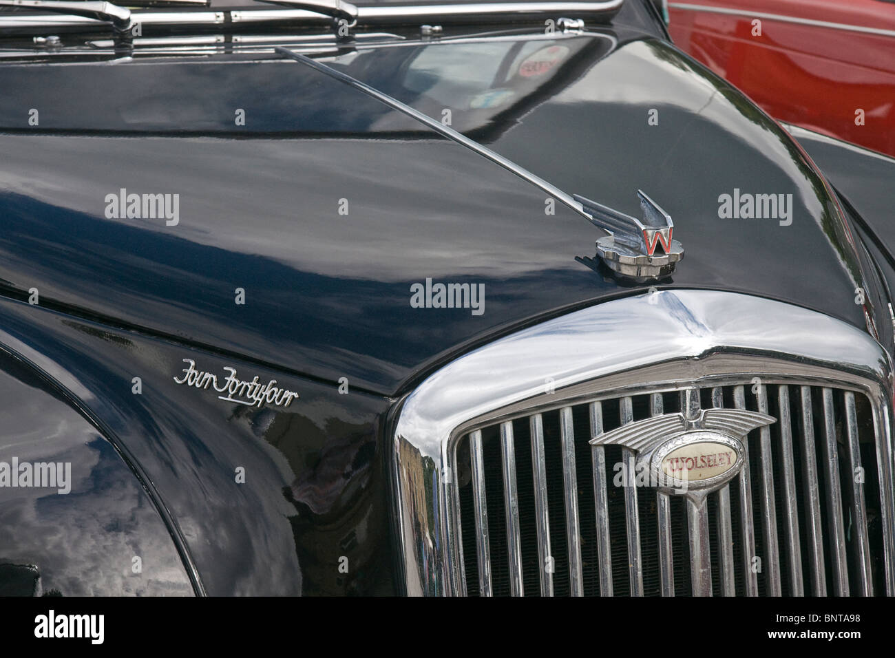 Heizkörper-Emblem auf der Motorhaube von einen Wolseley 4/40 / 4 Stockfoto