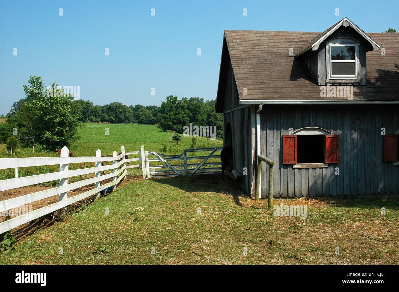 Bauernhof von Roger Blair, Kentucky. Stockfoto