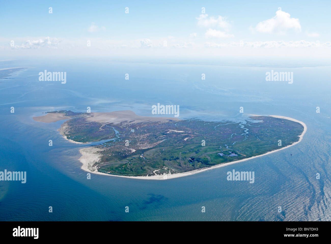 Luftbild, Memmert Insel, Ostfriesland, Niedersachsen, Deutschland Stockfoto
