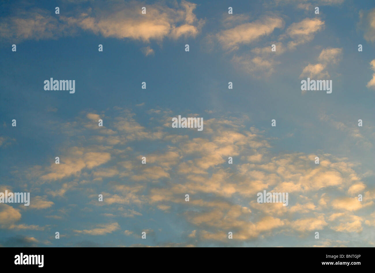 Flauschigen weißen Cumulus-Wolken am blauen Himmel Stockfoto