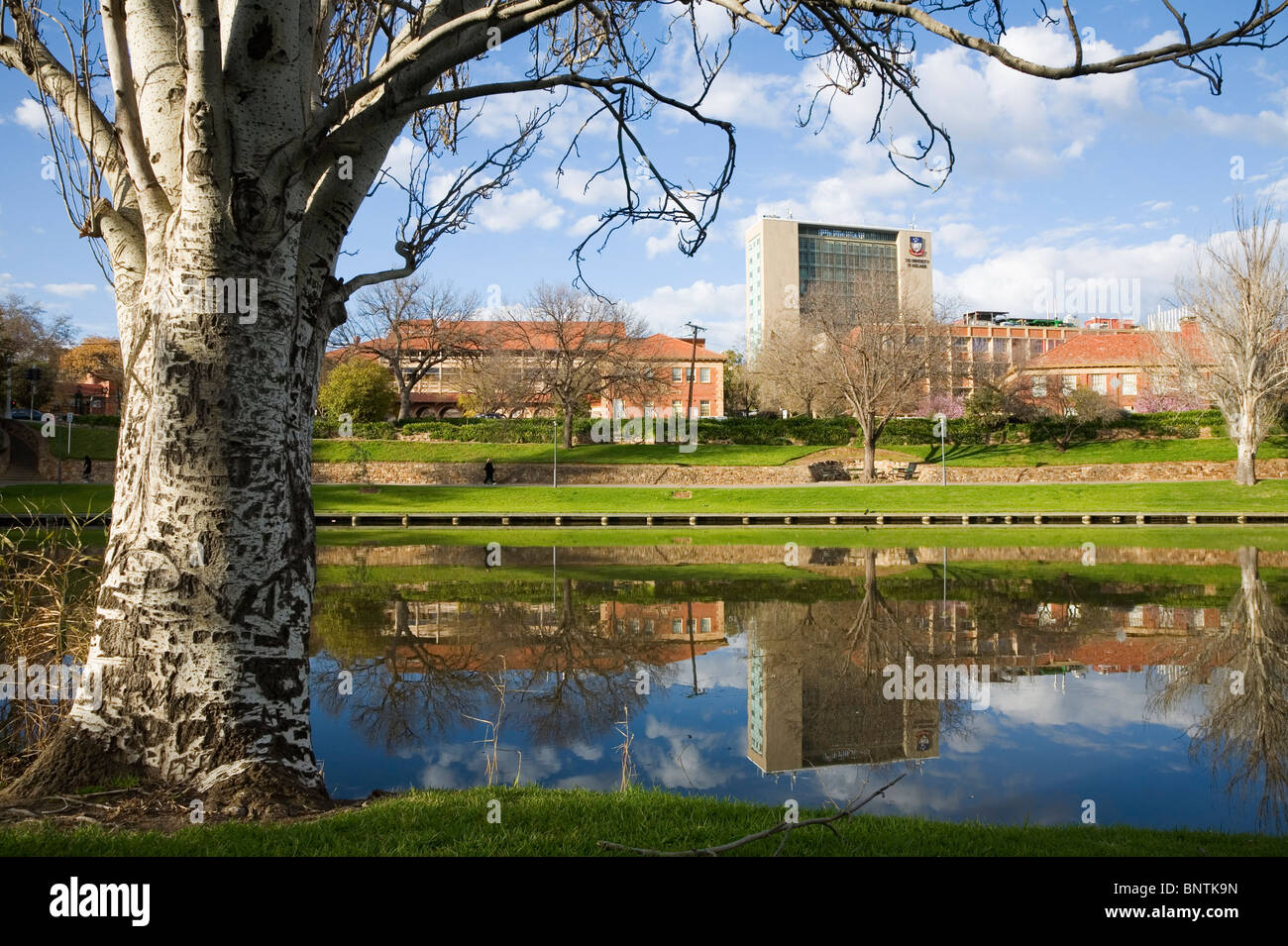 Blick über den ruhigen Torrens River an der University of Adelaide. Adelaide, South Australia, Australien. Stockfoto
