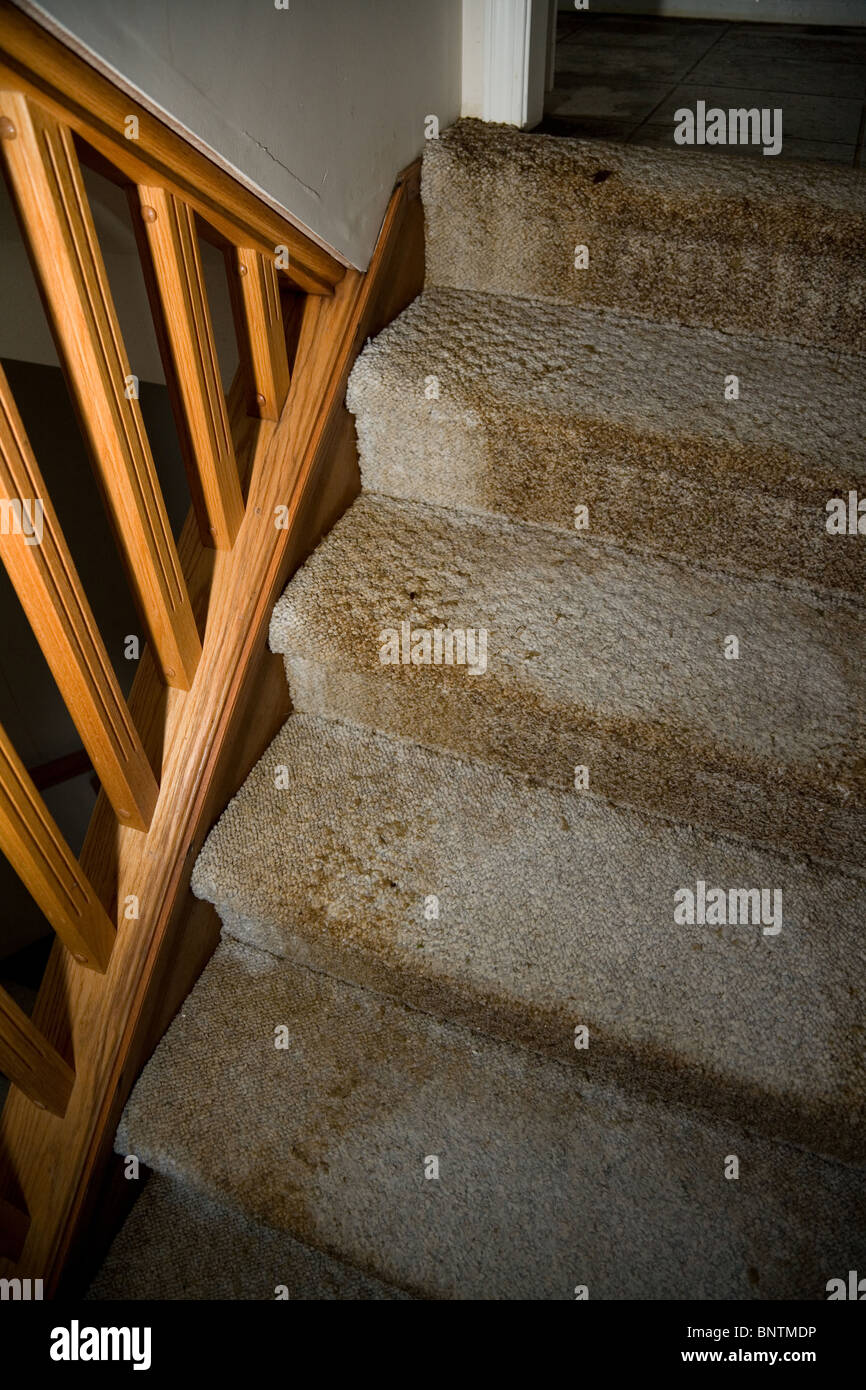 Home Interior Wasser undicht beschädigt, Treppen- und Teppich Stockfoto