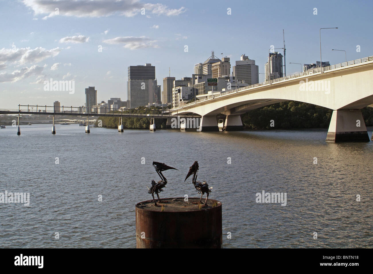 Pelikan-Skulpturen auf dem Brisbane River in Brisbane Australien Stockfoto