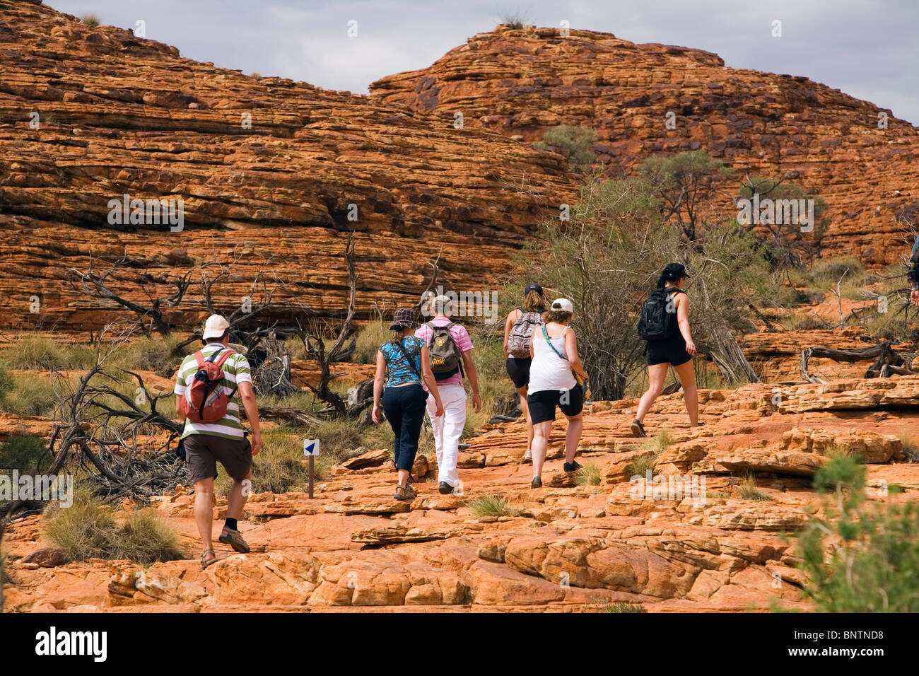 Wanderer auf dem Kings Canyon Rim Walk. (Kings Canyon) Watarrka Nationalpark, Northern Territory, Australien. Stockfoto