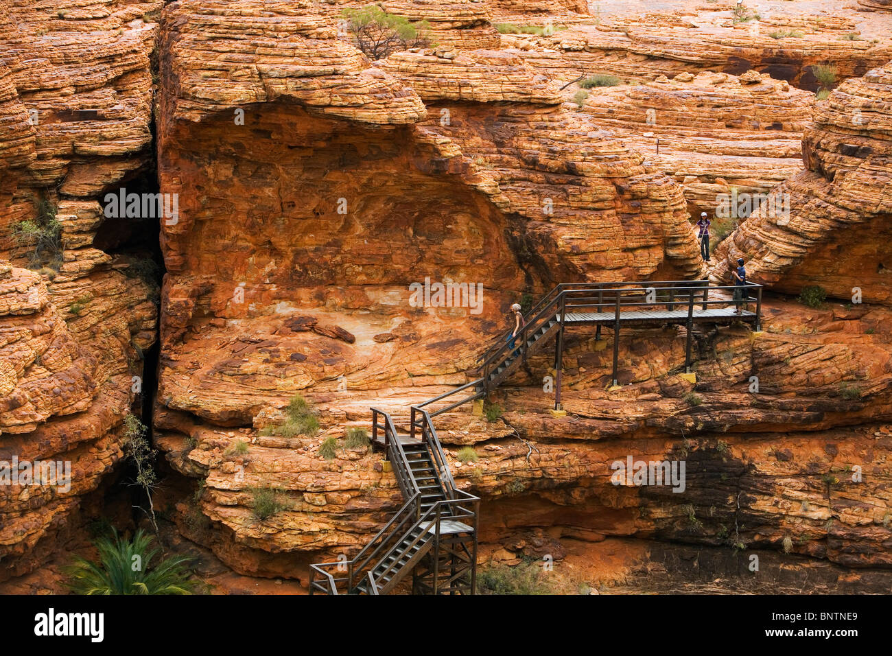 Treppe in den Garten von Eden.  (Kings Canyon) Watarrka Nationalpark, Northern Territory, Australien. Stockfoto