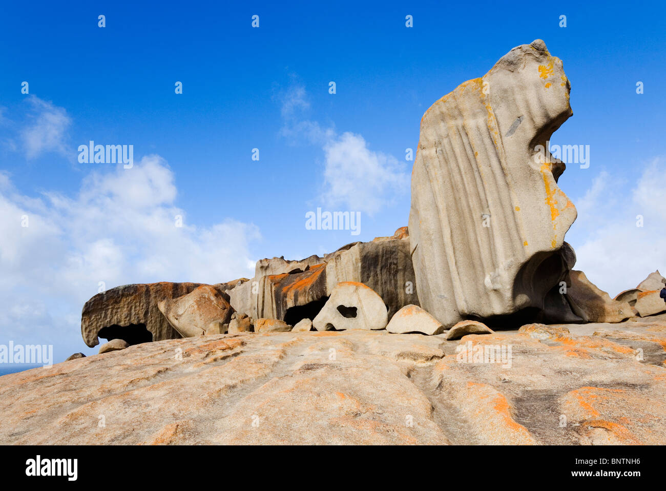 Remarkable Rocks an der Südküste von Kangaroo Island, South Australia, Australien. Stockfoto