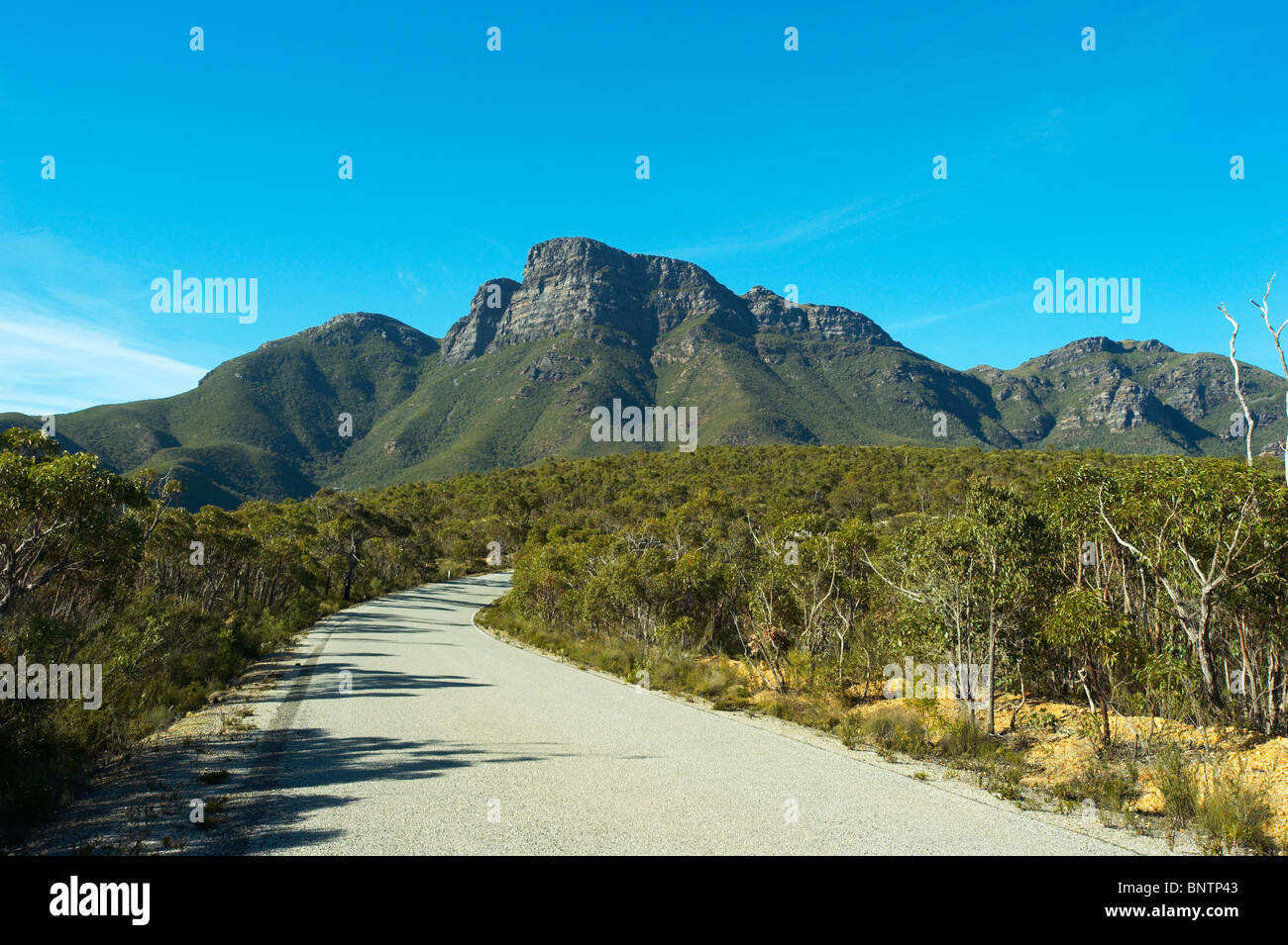 Australien, Western Australia, Stirling Range NP, Bluff Knoll. Stockfoto