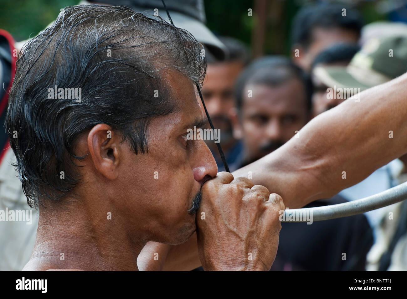 Indien Kerala Thrissur ein Hornist während des Pooram Elephant Festival Stockfoto