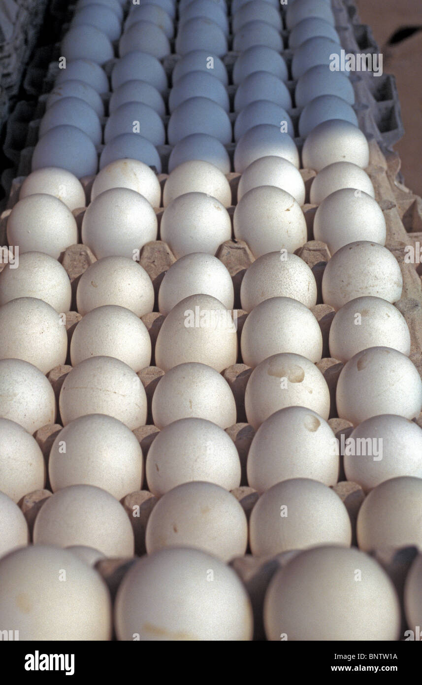 Reglementierung - wie Soldaten auf der Parade demonstrieren eine Rezession von Ebenen der Anbieter Eiern warten auf Aufträge. Stockfoto