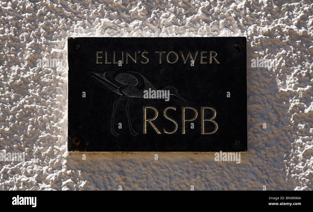 Ellin Turm, South Stack Klippen, RSPB Reserve, Anglesey, North Wales, UK Stockfoto