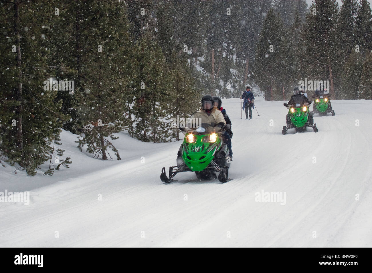 Motorschlitten und Skifahrer im Yellowstone-Nationalpark im winter Stockfoto