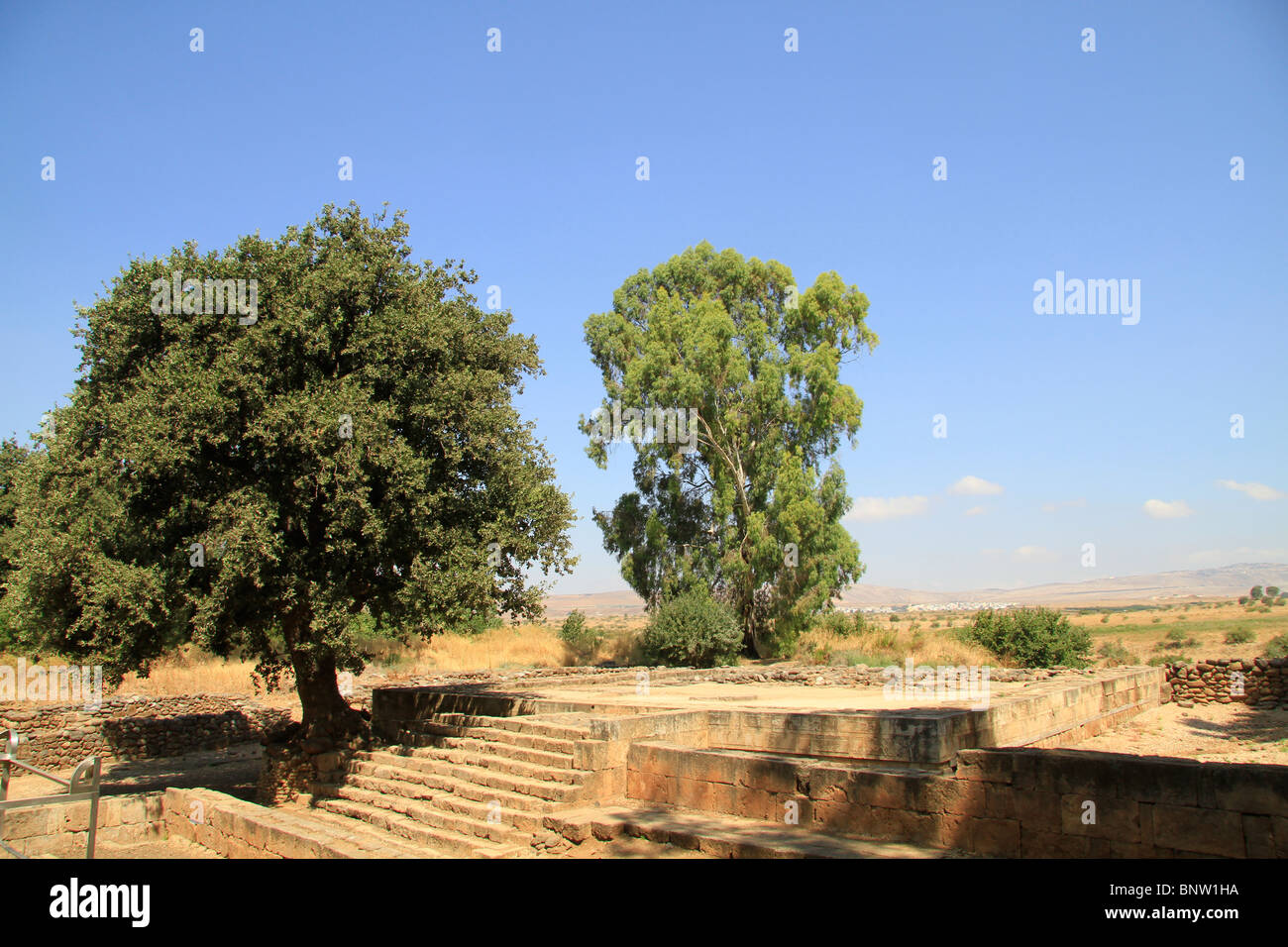 Israel, oberen Galiläa, hoher Platz in Tel Dan Stockfoto