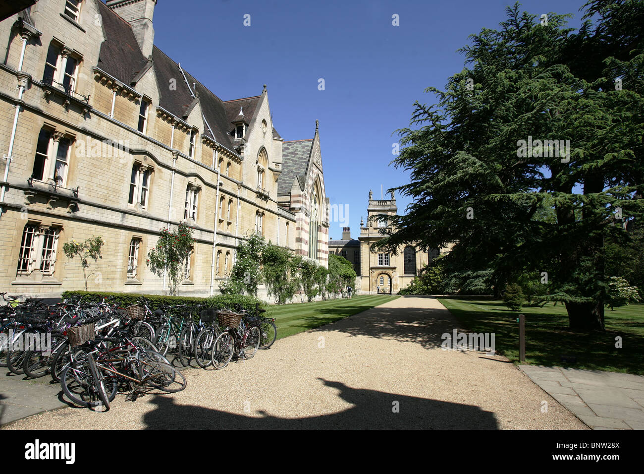 Oxford College-Szene, zeigt Schüler Fahrräder aufgereiht neben der Bodleian Library, wie sie Vorlesungen an der Universität zu besuchen. Stockfoto