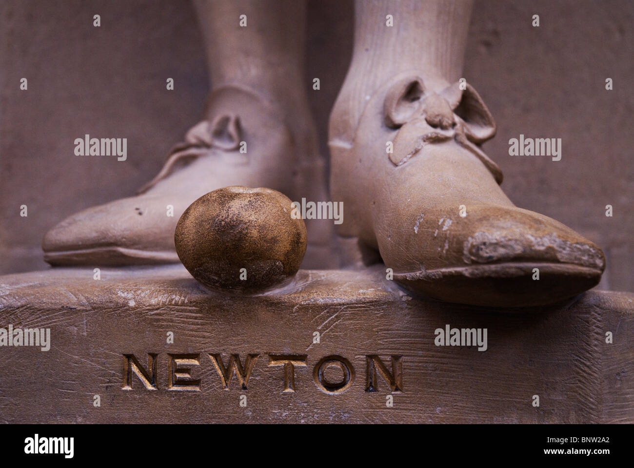 Newtons Füße - komplett mit geschnitzten Apfel - das Oxford Museum of Natural History. Stockfoto