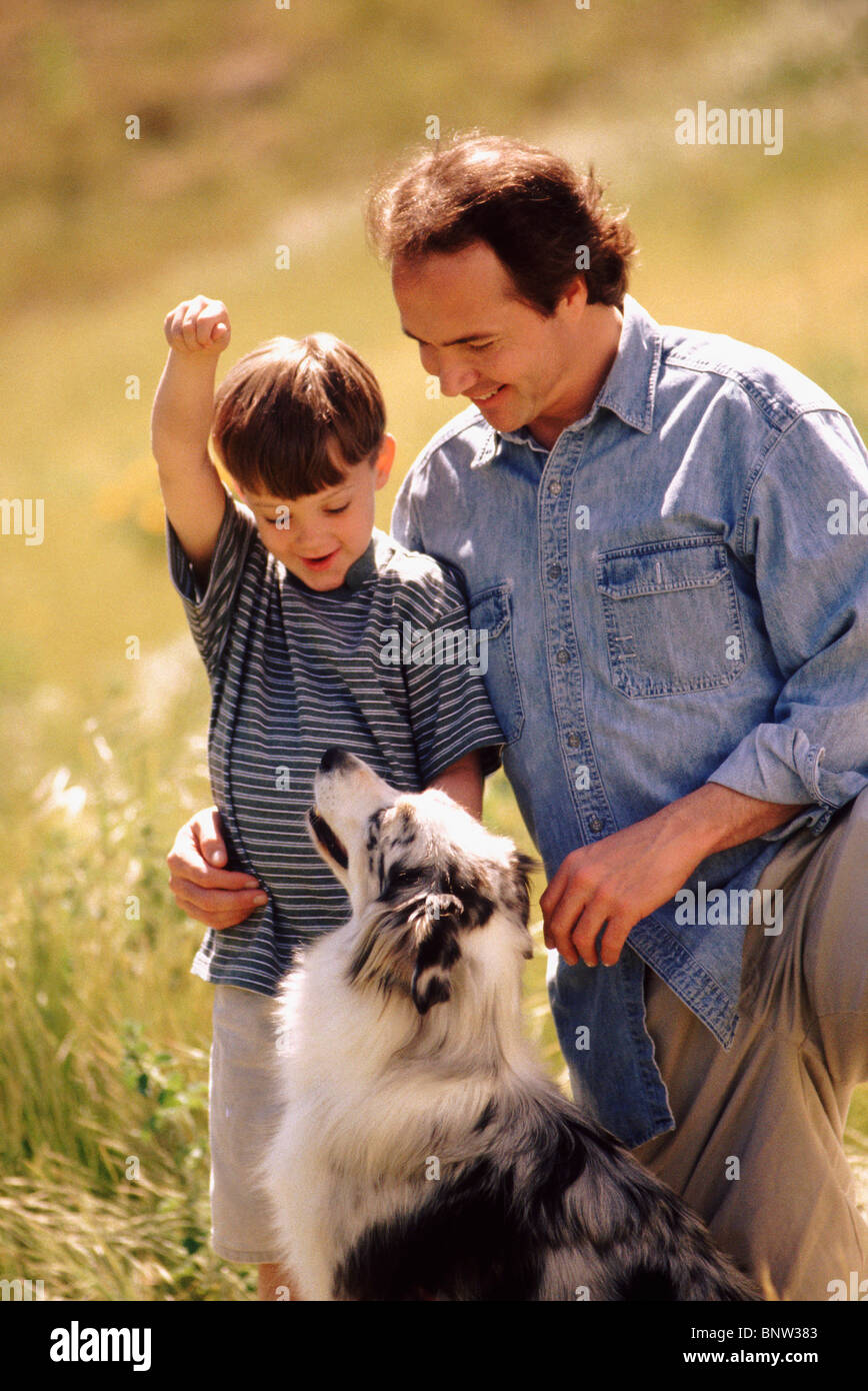 Vater, Sohn und Hund im Feld zusammen Stockfoto