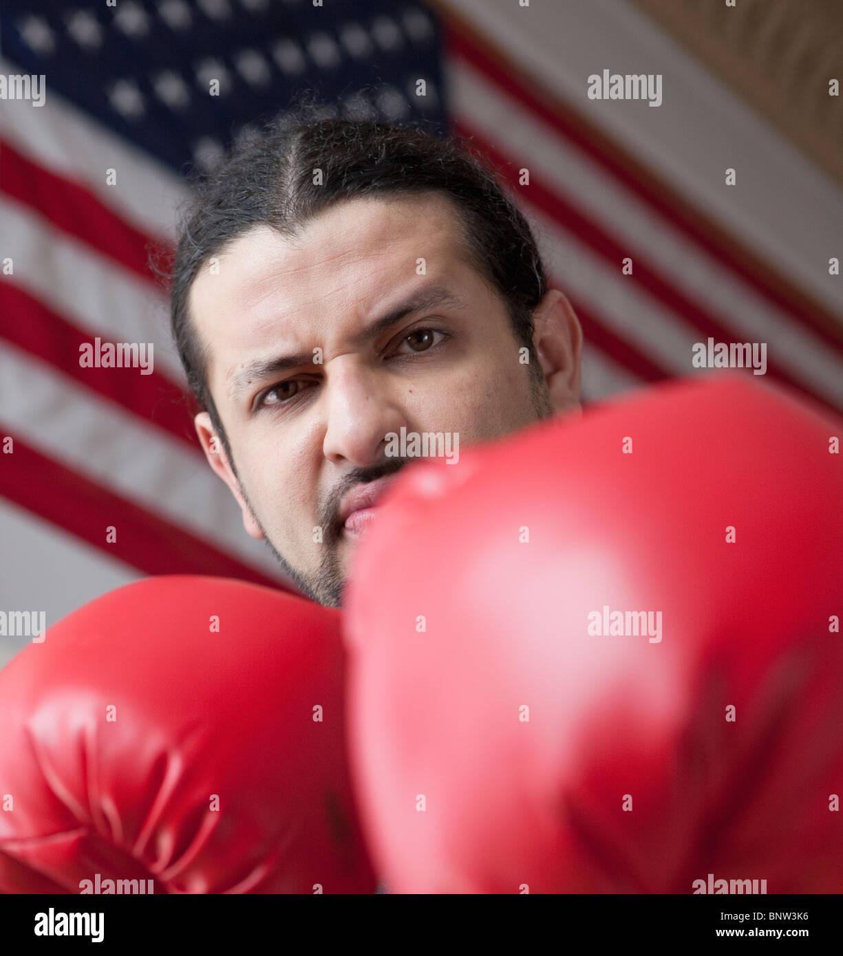 Wütend, US-amerikanischer boxer Stockfoto