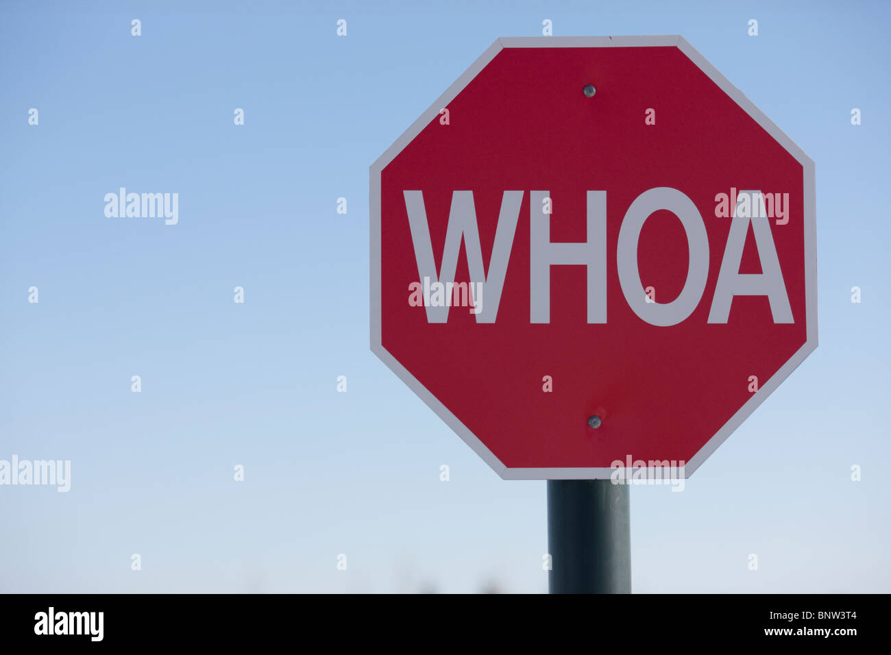 Stop-Schild mit dem Wort WHOA drauf Stockfoto