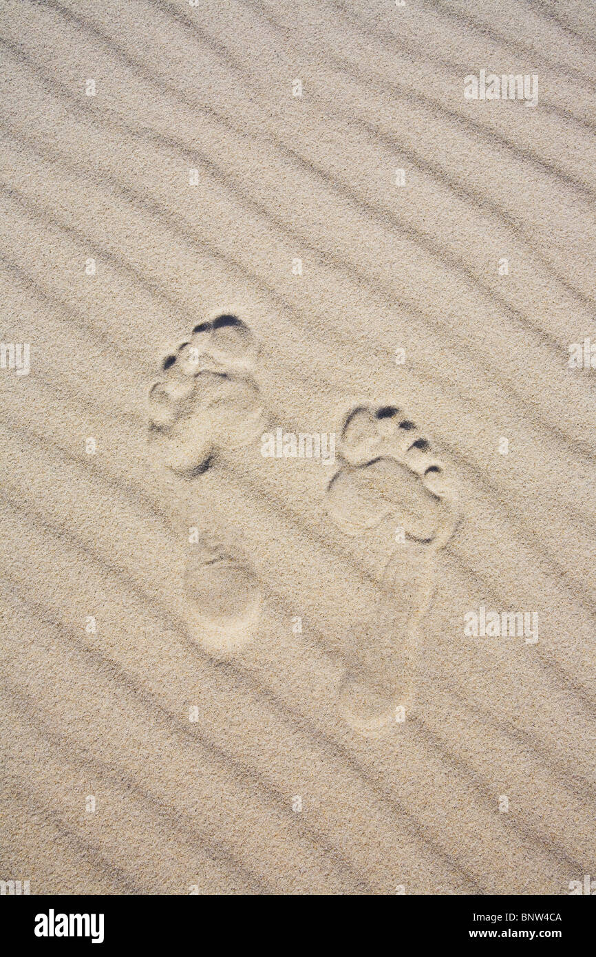 Fußspuren im sand Stockfoto