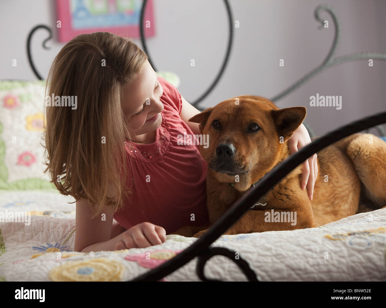 Junges Mädchen auf dem Bett liegend mit Hund Stockfoto