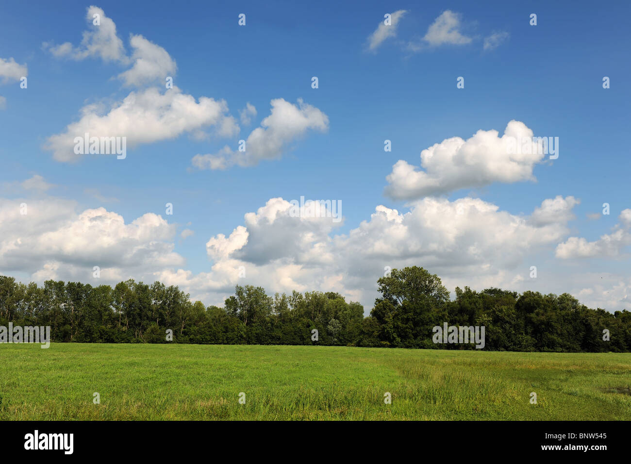 Landschaft mit Bäumen, Rasen und Wolken Stockfoto