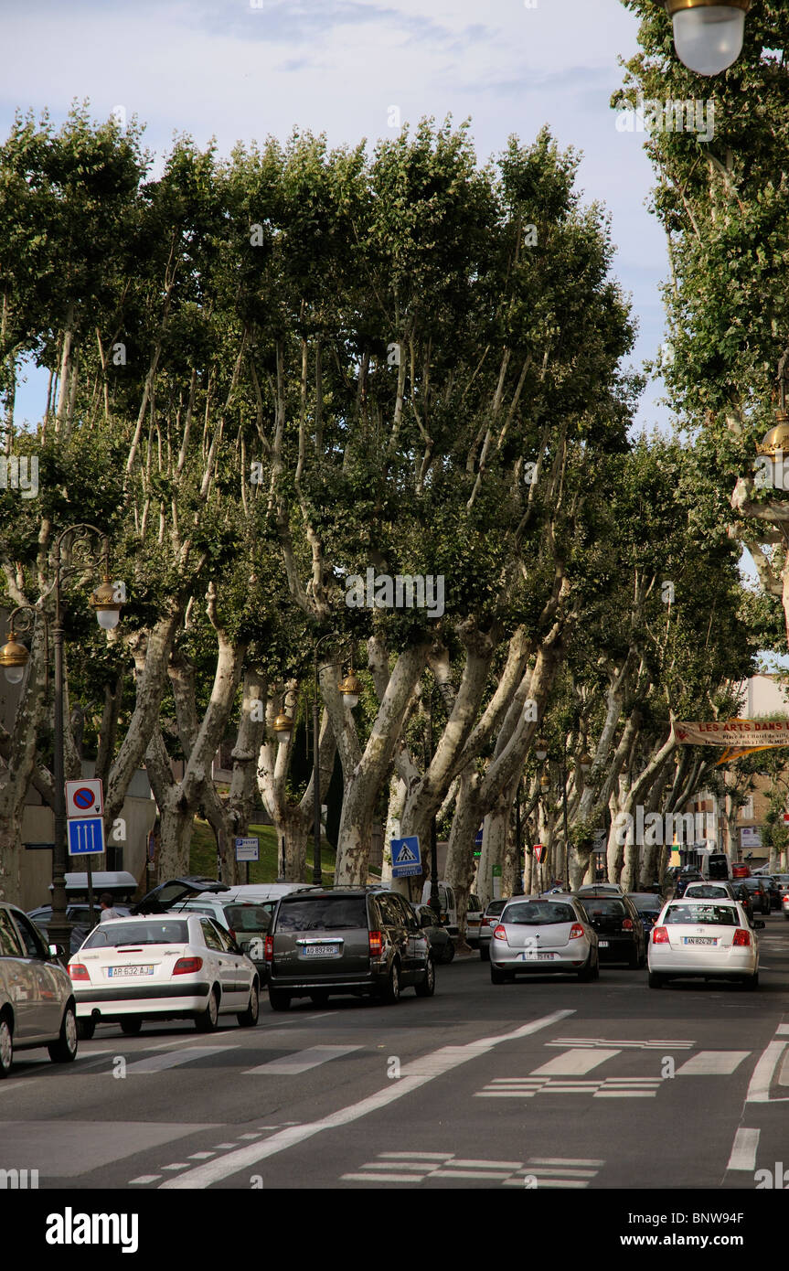 Einbahnverkehr auf einer Ebene, von Bäumen gesäumten Straße in Narbonne Stadtzentrum Südfrankreich Stockfoto
