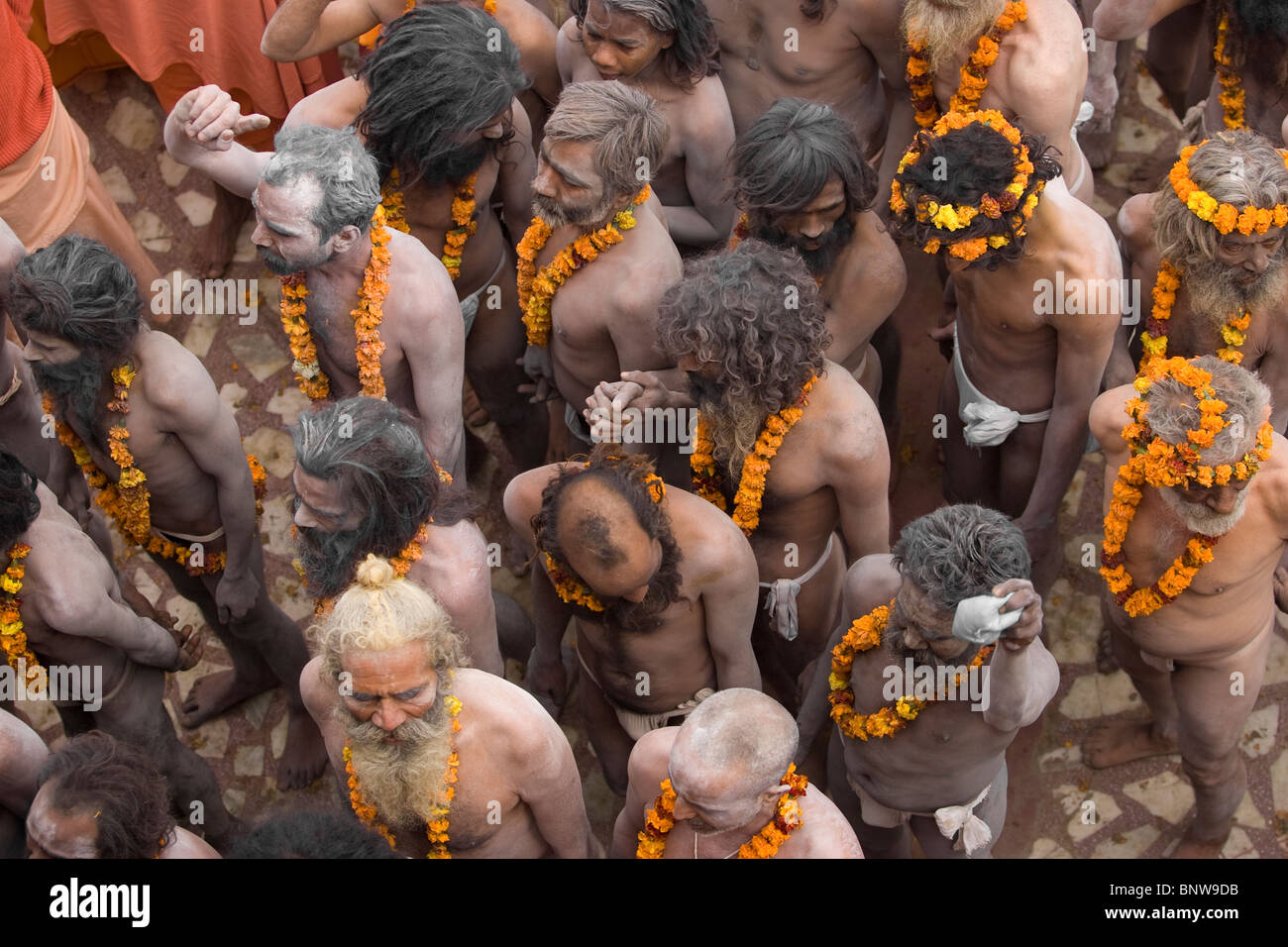 Eine Masse von Naga Sadhus Spaziergang entlang der Straßen während der Kumbh Mela Stockfoto