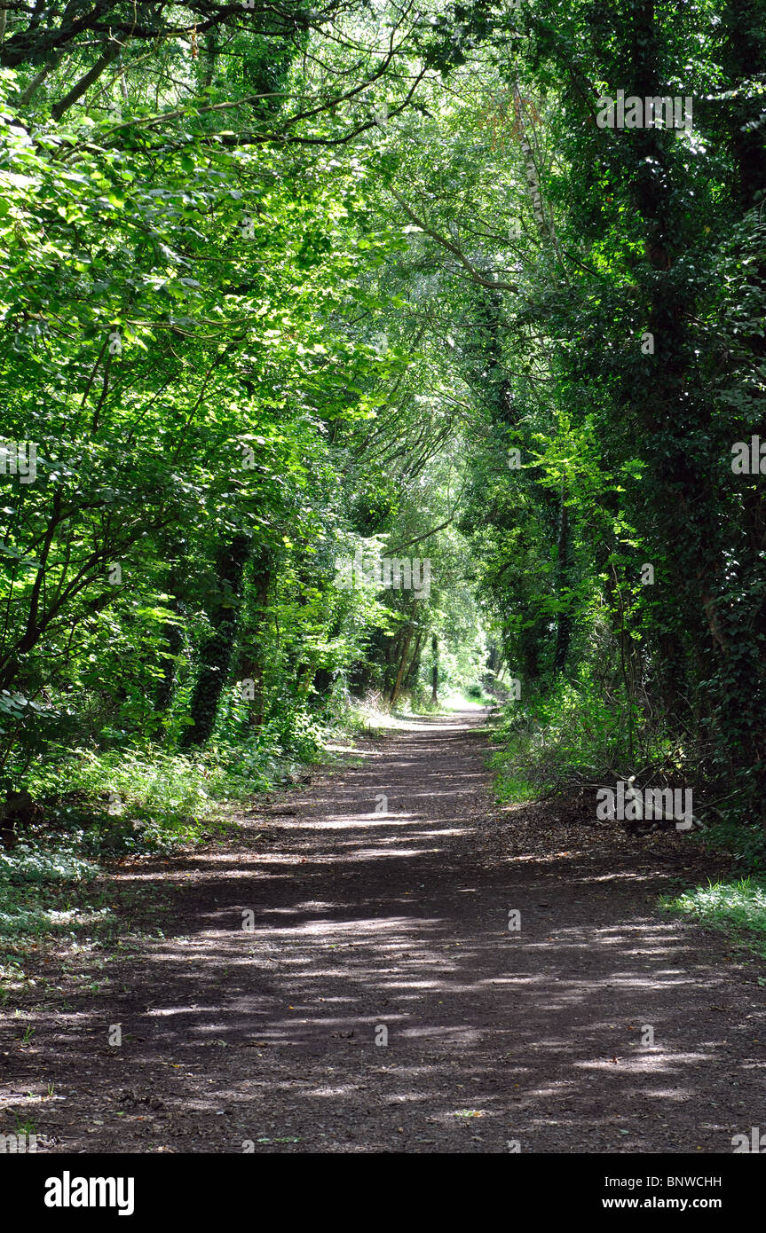 Die Greenway Weg auf der ehemaligen Bahntrasse, Burton grün, West Midlands, England, UK Stockfoto