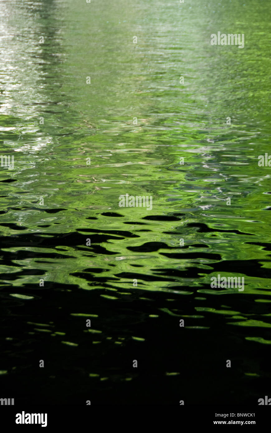 Reflexionen im Paseo del Rio in der Innenstadt von San Antonio, Texas, USA Stockfoto