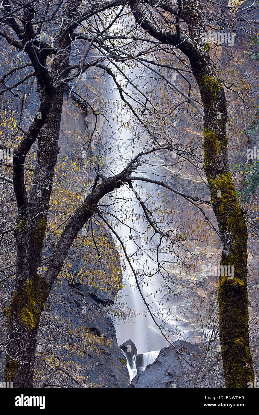 Bridalveil Falls und Creek, Yosemite-Nationalpark, Kalifornien, USA. Stockfoto