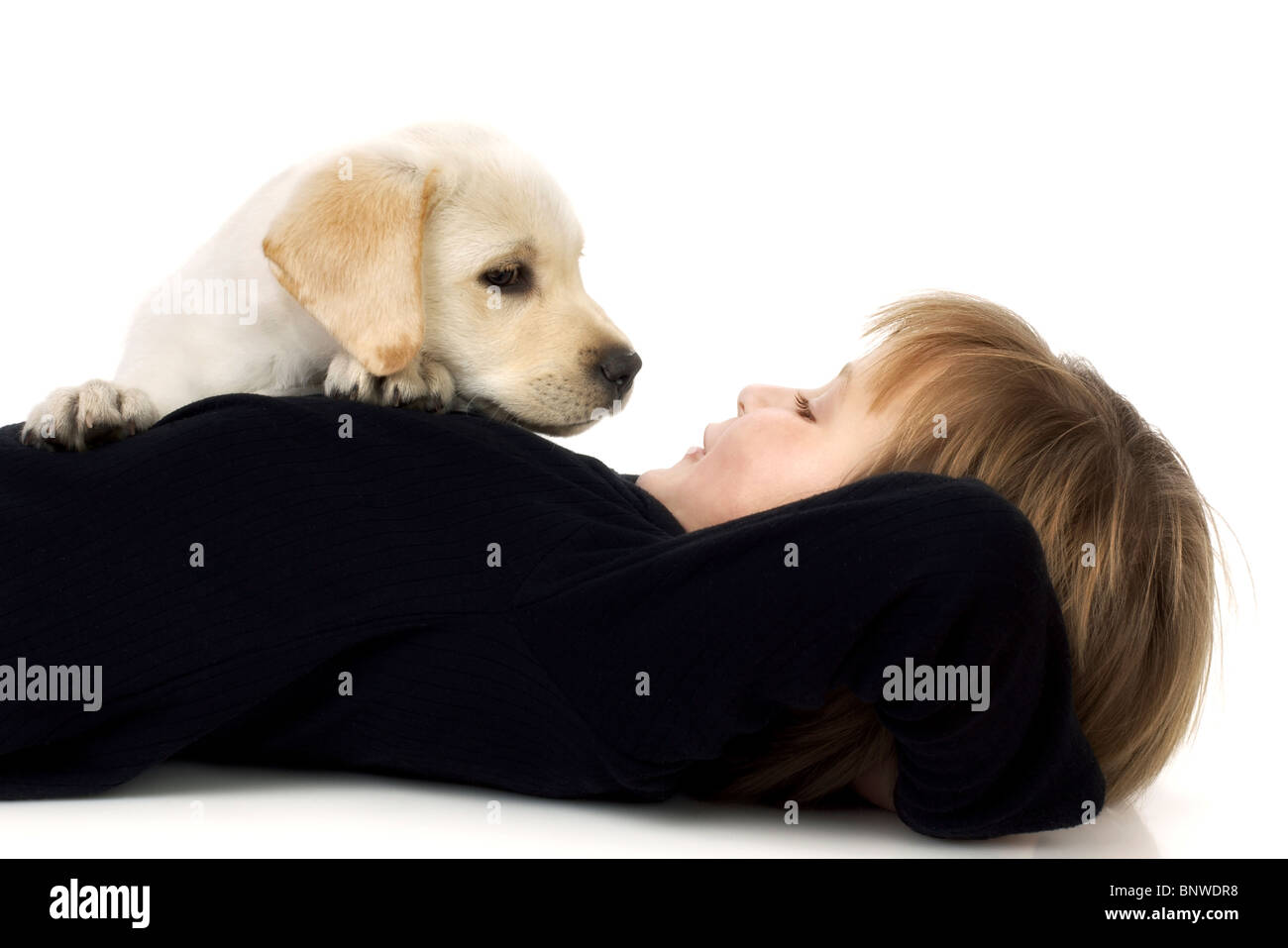 Kind mit Labrador-Retriever Welpen suchen Aufmerksamkeit Stockfoto