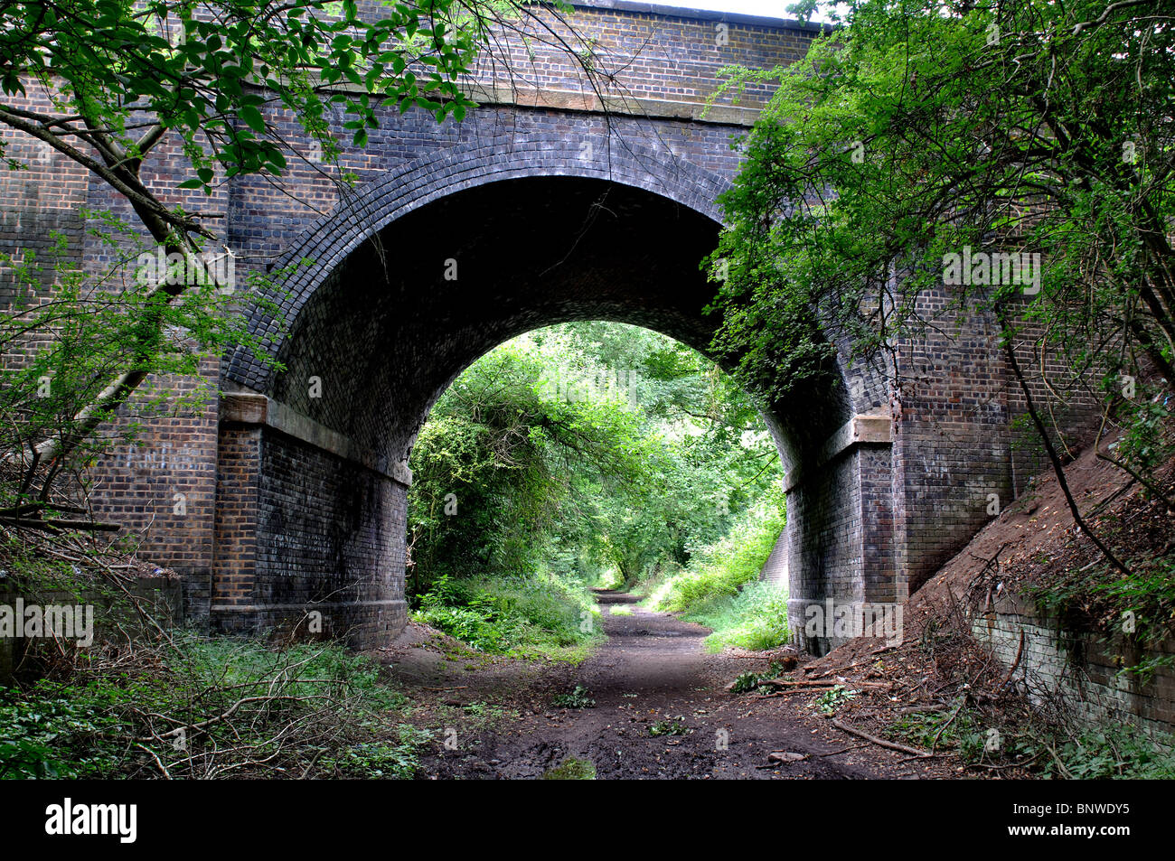 Die Greenway Weg auf der ehemaligen Bahntrasse, Burton grün, West Midlands, England, UK Stockfoto