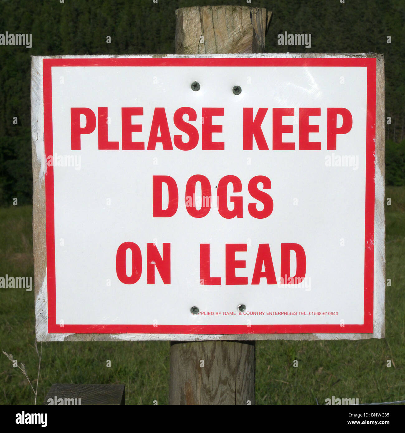 Warnzeichen auf Ackerland, "Bitte halten Sie Hunde zu führen", die Belästigung der Tiere zu verhindern Stockfoto