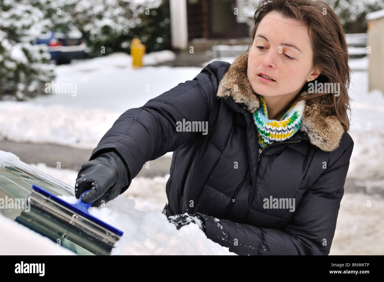 Junge Frau, die Reinigung der Autoscheiben von Schnee in der Wintersaison Stockfoto
