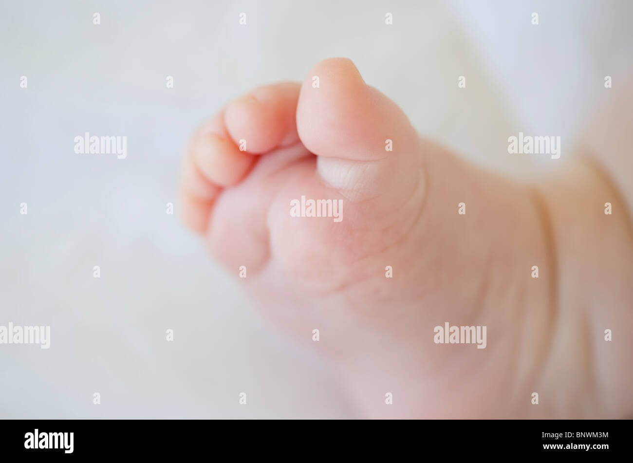 Säuglings-Fuß Stockfoto