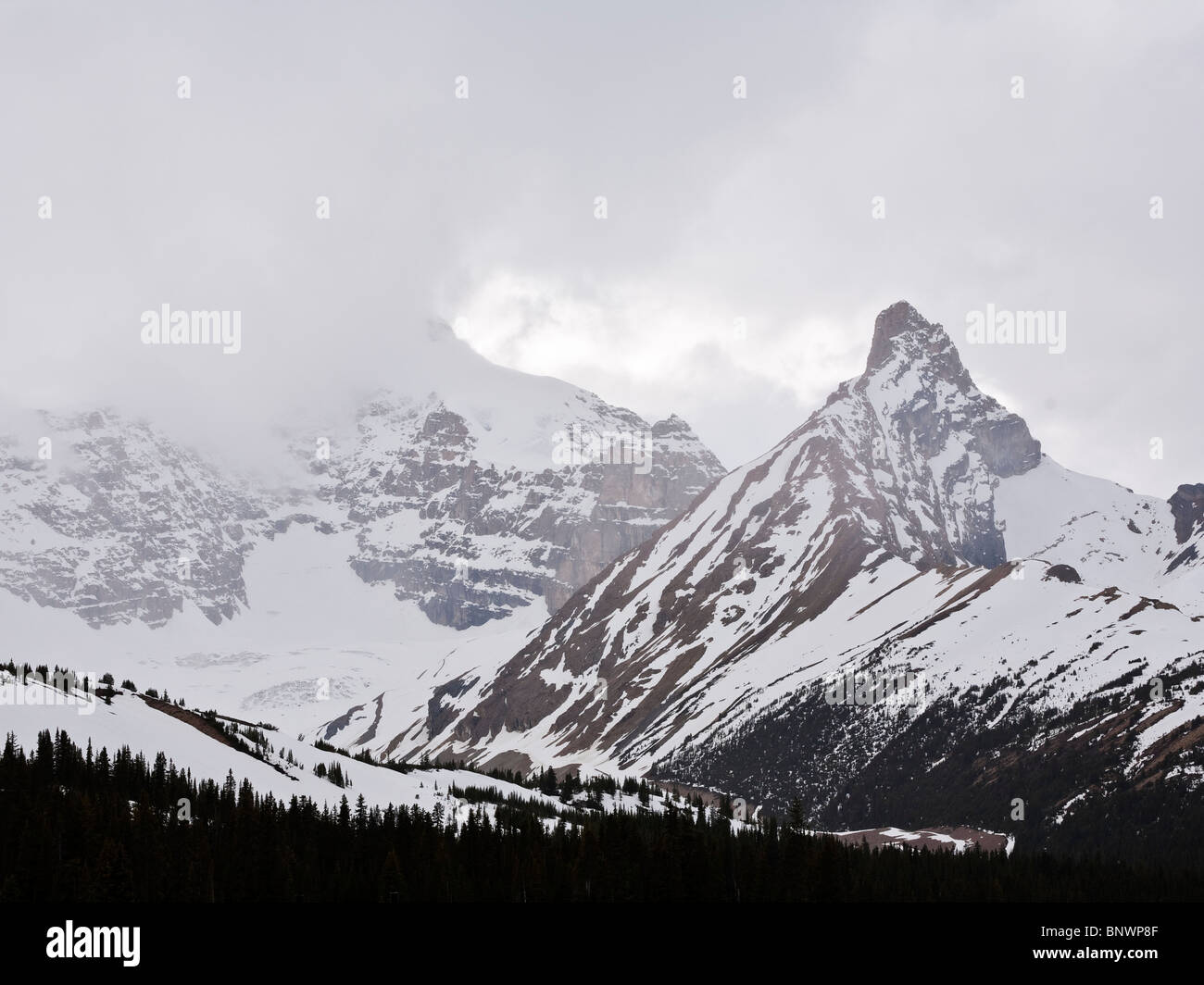 Hilda Peak und Mount Anthabasca Icefields Parkway die Grenze zwischen Banff und Jasper Nationalparks Alberta Kanada Stockfoto