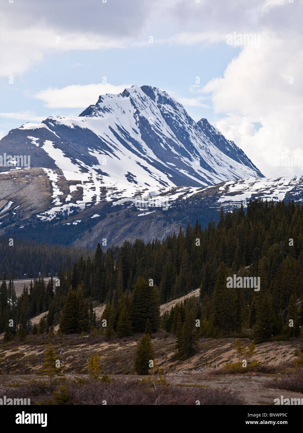 Nigel Peak im Jasper National Park Kanada Stockfoto