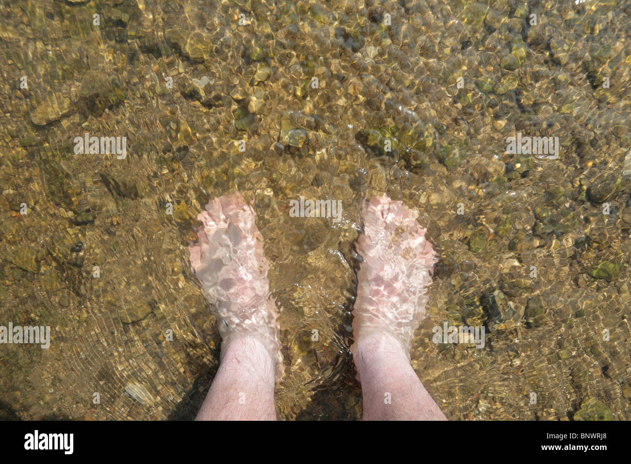 Ein paar kalte (sehr kalt) weiße Füße in einem klarem Wasserstrom in Dorset, Großbritannien Stockfoto