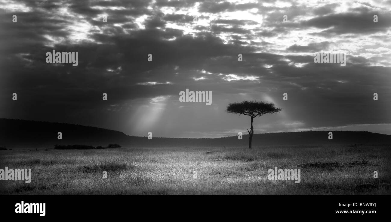 Atemberaubenden Sonnenaufgang auf die Masai Mara in Kenia Stockfoto